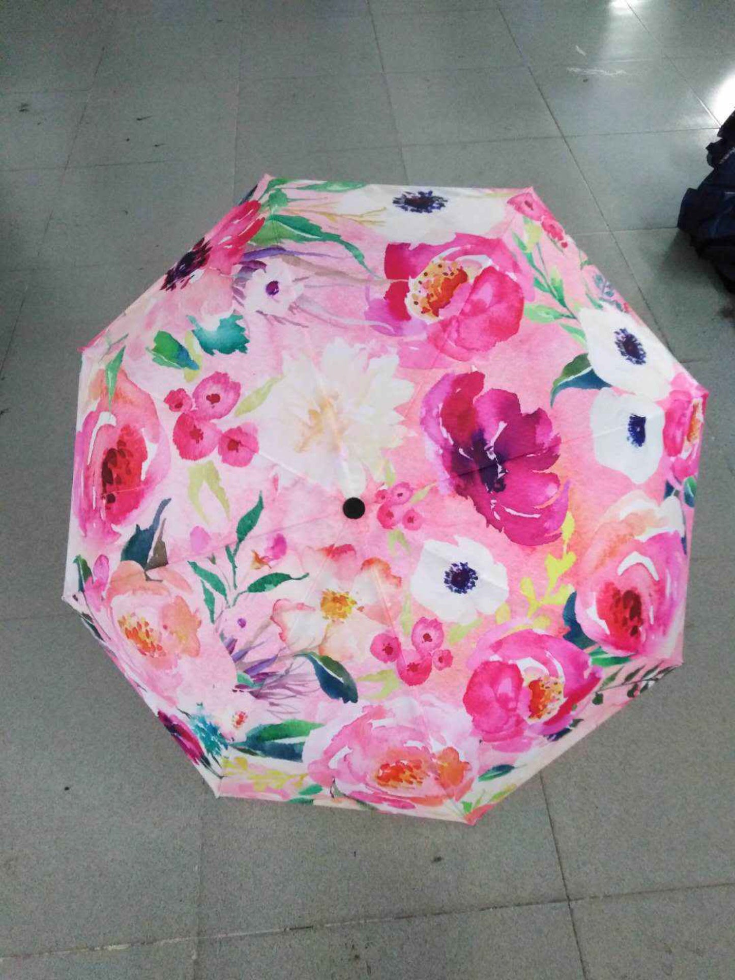 Umbrella