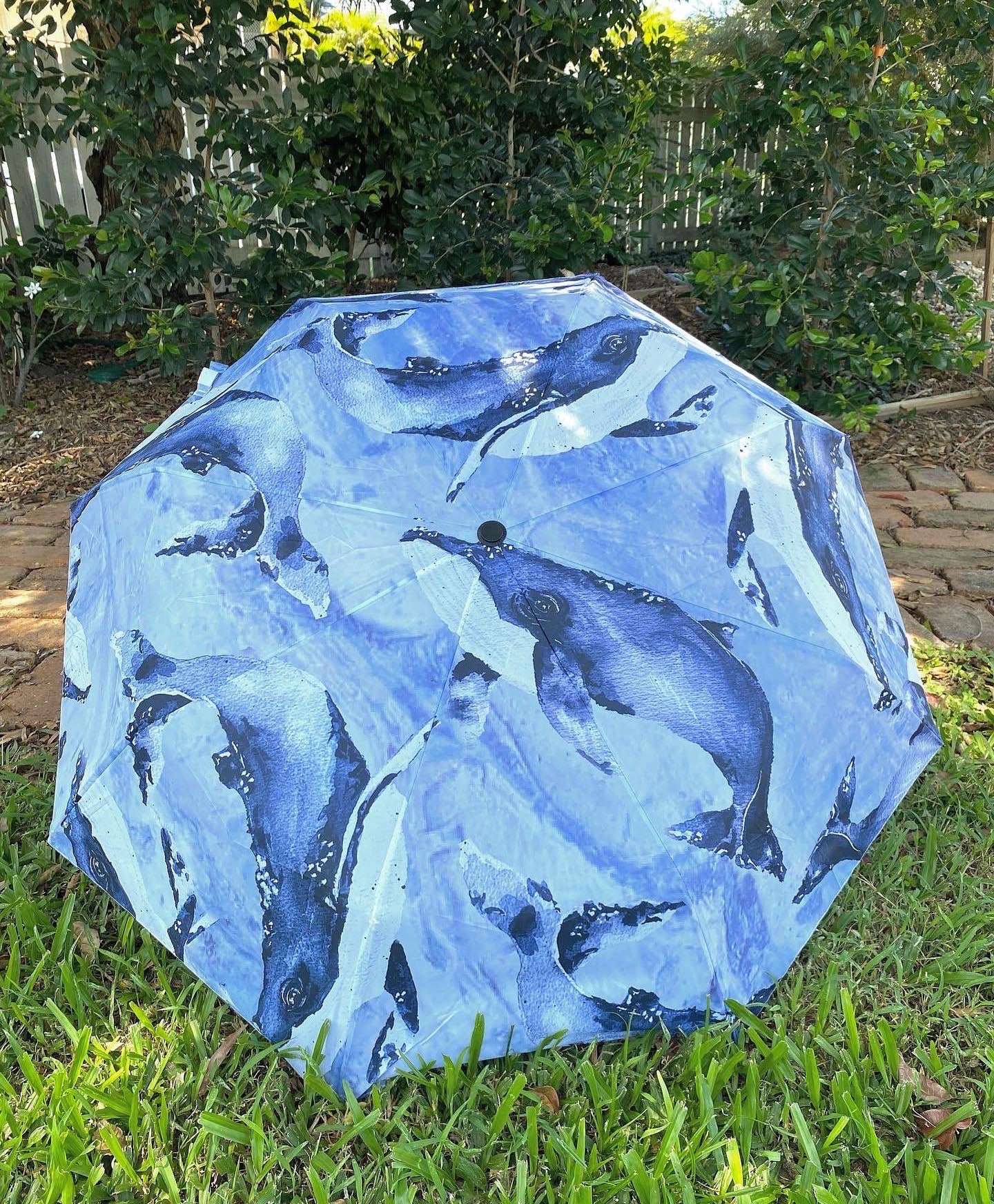 Umbrella
