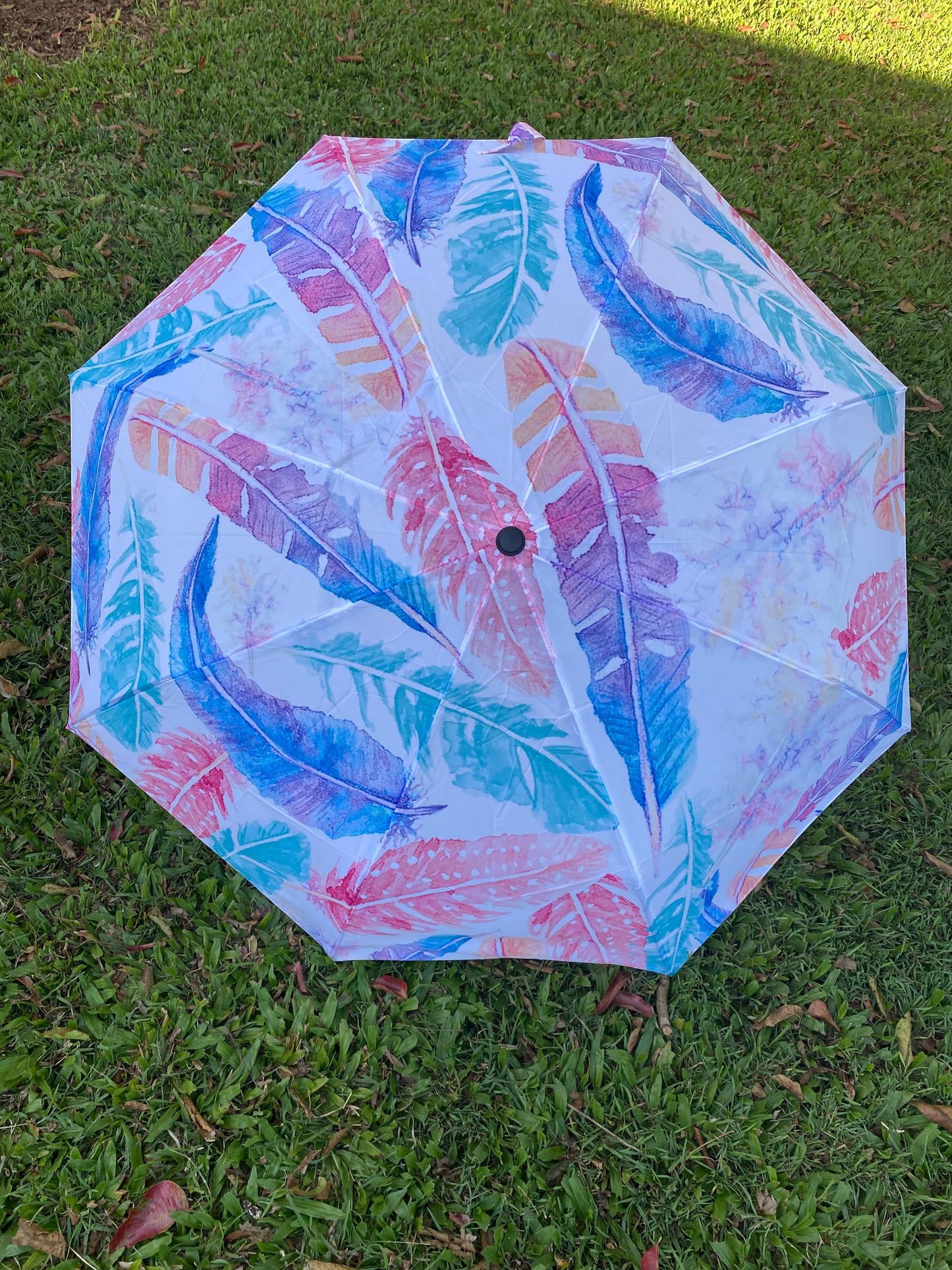Umbrella