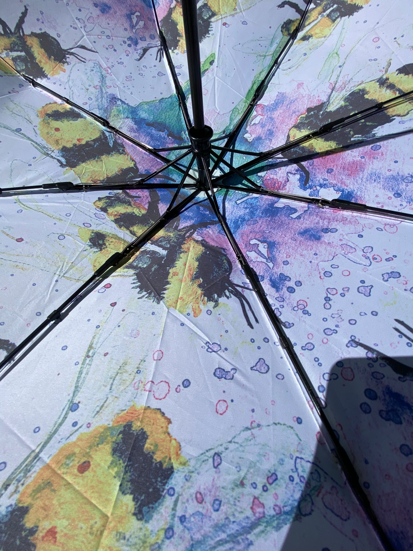 Umbrella