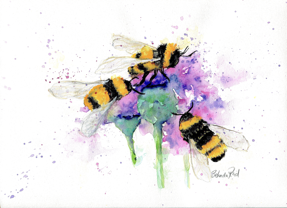 A4 Fine Art Print