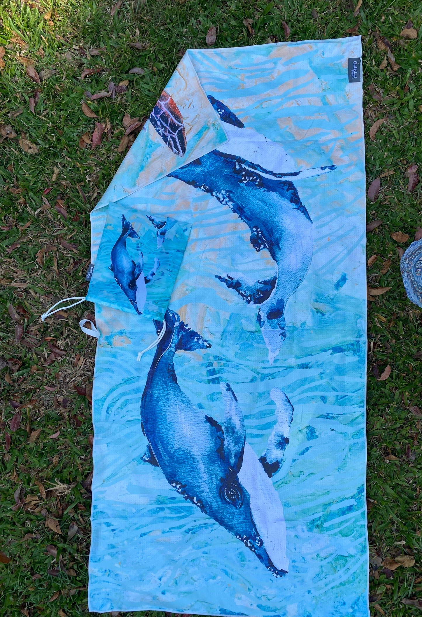 Large Sandfree Beach Towels